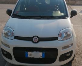 FIAT Panda 3ª serie - 2016 Full optional
