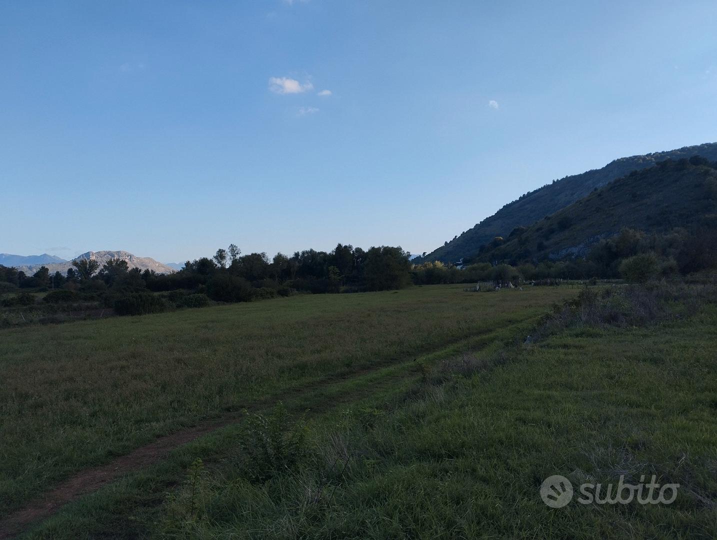 Terreno agricolo località caira 4000 mq - Vista 3