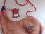 Immagine 4