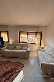 Ampio Semi indipendente al primo piano