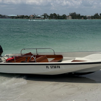 Boston whaler 15