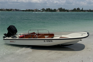 Boston whaler 15