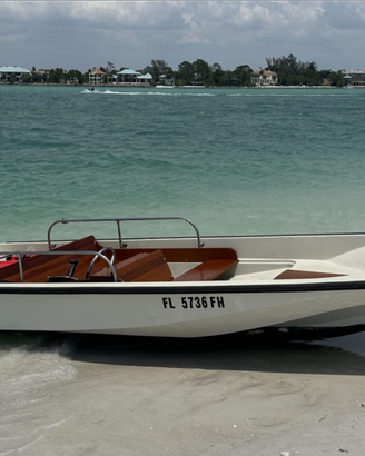Boston whaler 15