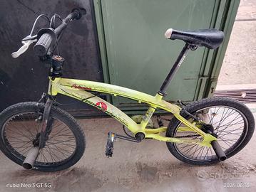 bmx lombardo