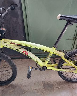 bmx lombardo