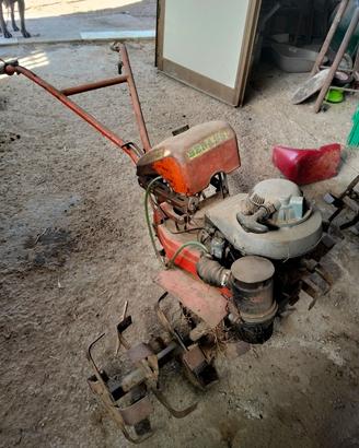 motozappa brumi