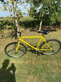 Bicicletta  ruota 26