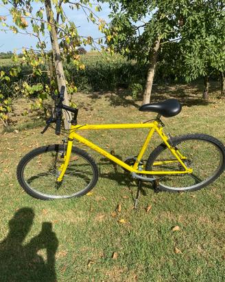 Bicicletta  ruota 26