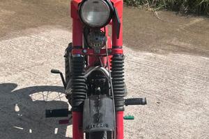 Califfone 4 marce (Motori Rizzato, 1981)