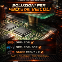 file service centralina fap dpf egr adblue