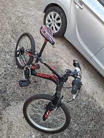 bicicletta bambino "vicini"