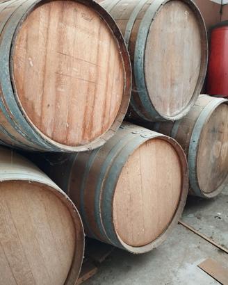 Botti legno