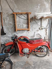 Moto Guzzi Zigolo con targa 