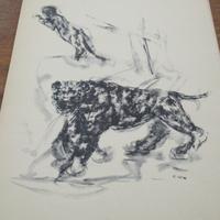 6 stampe ERCOLE BRINI