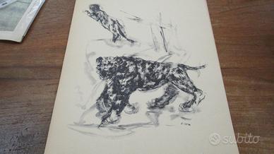 6 stampe ERCOLE BRINI