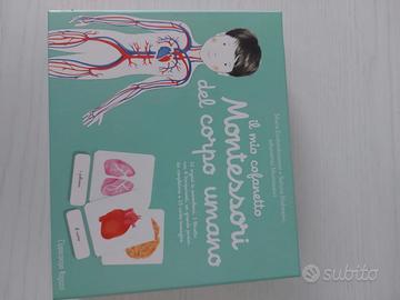 Cofanetto Montessori corpo umano
