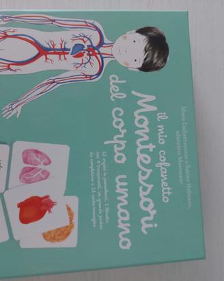 Cofanetto Montessori corpo umano