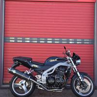 TRIUMPH Speed Triple 955i .