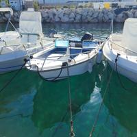 Barca a motore 40cv