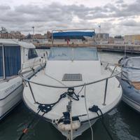 Cicala & bertinetti Narvalo 25 S