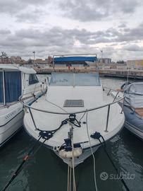 Cicala & bertinetti Narvalo 25 S