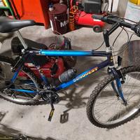 Mountain Bike unisex
