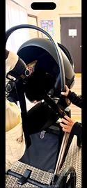 Ovetto Cybex Platinum