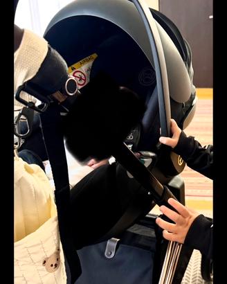 Ovetto Cybex Platinum