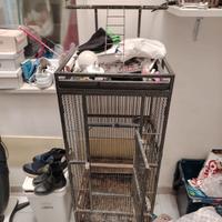 voliera per pappagalli 