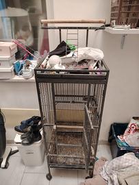 voliera per pappagalli 