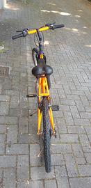 Mountainbike Bianchi Scout