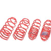 KIT MOLLE SPORTIVE PER SKODA