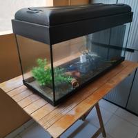 acquario 100 lt