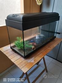 acquario 100 lt