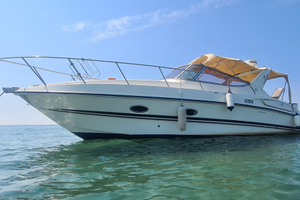 Barca Innovazione e Progetti 29.5