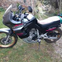 Honda XL 600 V Transalp - 2020