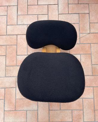 Sedia ergonomica