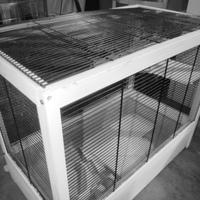 GRANDE GABBIA PER CRICETI O RODITORI