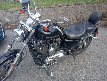 Harley Davidson 1200 XLsportster