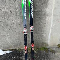 Sci Nordica Dobermann gs