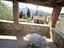 Immagine 13