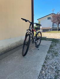BICICLETTA ATALA