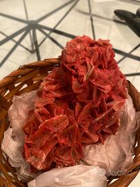 Pietra Rosa del Deserto