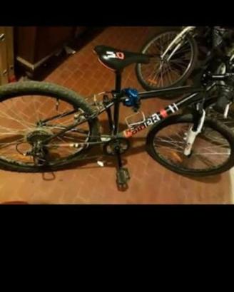 Bicicletta 24"