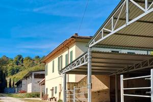 Azienda agricola Toscana per allevamento o maneggi