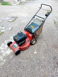 Taglia erba motore a scoppio