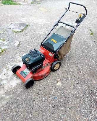 Taglia erba motore a scoppio