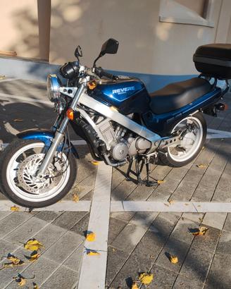 Revere ntv 650 d'epoca asi da vetrina