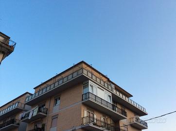 Camere per studentesse vicino universita'