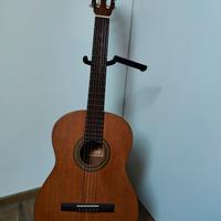 Chitarra acustica Ariana AK-60